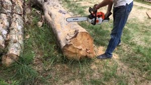Легендарные бензопилы Stihl 180 , Stihl 260 , Husqvarna 340
