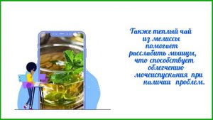 В чем польза чая из мелиссы?
