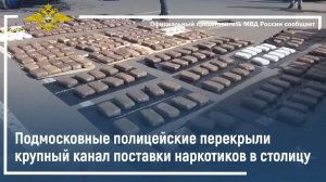 Подмосковные полицейские перекрыли крупный канал поставки наркотиков в столицу