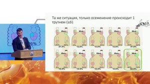 Разведение пчёл (VSH), устойчивых к Варроа деструктору. ?