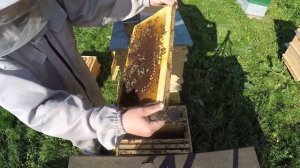 Лучший противороевой метод.