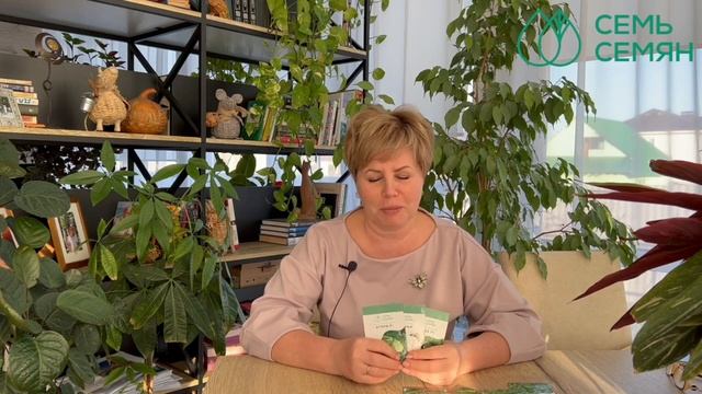 Эти овощи можно посеять сразу в грунт! смотреть онлайн