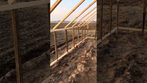 Теплица своими руками