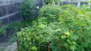 видеокаруселька 25-2