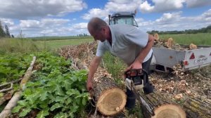 Набрали Вагон безкоштовних дров