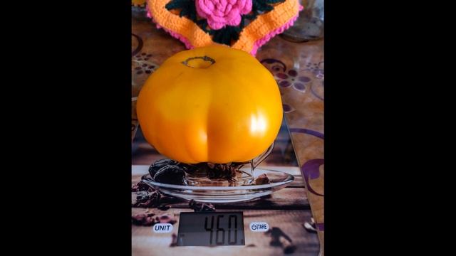 Самый лучший томат в мире 2023 г.! Высокоурожайный,сладк? смотреть онлайн