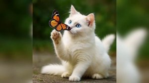 "Регги-заварушка" - автор песни Любовь Сологубова