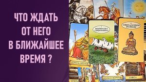 ЧТО ЖДАТЬ ОТ НЕГО В БЛИЖАЙШЕЕ ВРЕМЯ ⁉️ таро 🖤 расклад таро 🌞 таро онлайн 🗝️ гадание таро 🦉