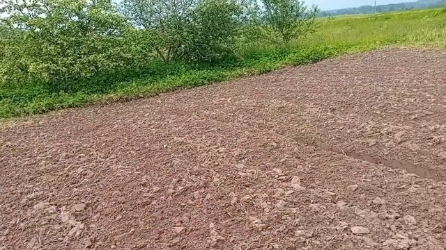 Посадили огород🌞❤️теплицы😉погода🌞 смотреть онлайн