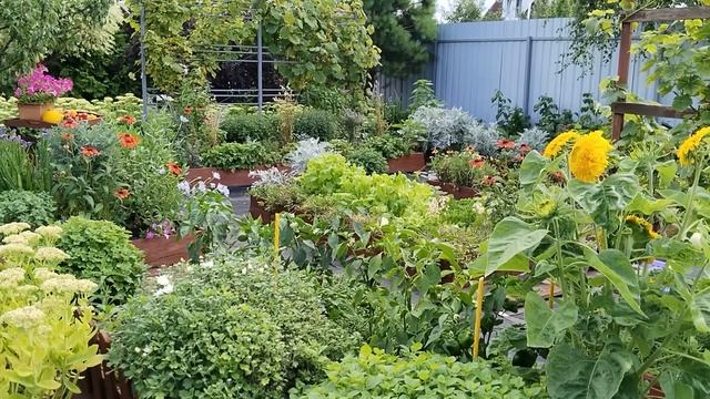 Чем Закрыть дорожки между грядок‼️Идеальное решение смотреть онлайн