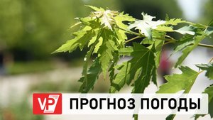 ПРОГНОЗ ПОГОДЫ ПО ВОЛГОГРАДУ И ОБЛАСТИ С 10 ПО 16 СЕНТЯБРЯ
