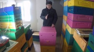 Борьба с роением пчел. Метод Александра против роения