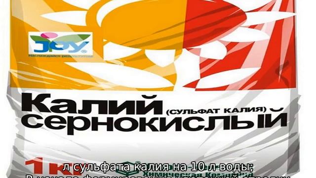 Как ухаживать за гладиолусами летом смотреть онлайн