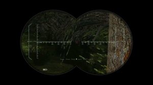 Лекарство для Кота Особый рецепт Футбол) S.T.A.L.K.E.R. ОП - 2.