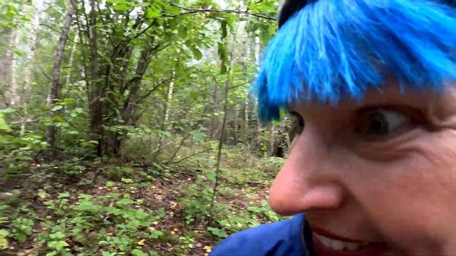 ГРИБЫ растут ковром ПОД НОГАМИ! БОРОВИКИ. ПОДОСИНОВИК? смотреть онлайн