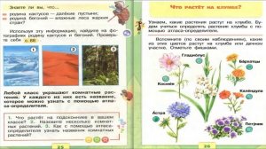 Что растет на подоконнике? Окружающий мир. 1 класс, 1 ча?