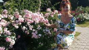 Лариса Рубальская МОЖЕТ Я НЕ УМНА, МОЖЕТ Я НЕ ПРАВА  Чи?