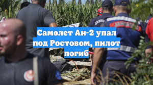 Самолет Ан-2 упал под Ростовом, пилот погиб