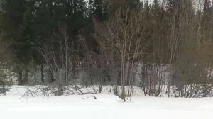 Поезд 305Я Усинск -Сыктывкар из Кожвы 1 в Сыктывкар