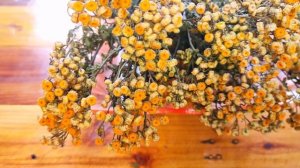 Что лечит ПИЖМА и как её правильно применять?