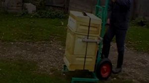 Пасечная тележка для перевозки ульев