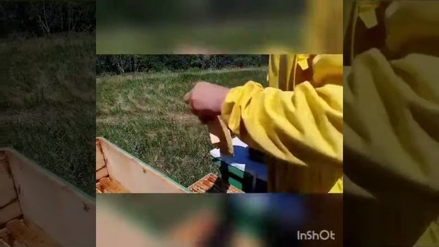 Семейная пасека Фирсовых смотреть онлайн