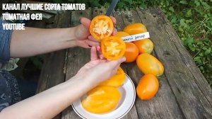 Семь сладких крупных сортов томатов Самые сладкие кру