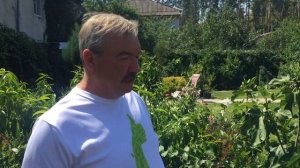 Выращивание голубики в открытом или ограниченном гру?