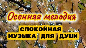 Спокойная музыка для души. Осенняя мелодия.