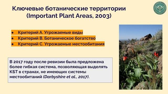 Тюльпан Регеля как флаговый вид. Александр Дубынин смотреть онлайн