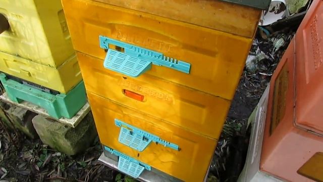 улей ППУ Медведь - какой леток лучше для пчел для облет смотреть онлайн