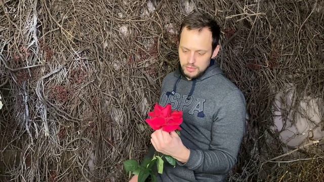 Как ПРАВИЛЬНО выворачивать розы? Зачем флористы вывор смотреть онлайн