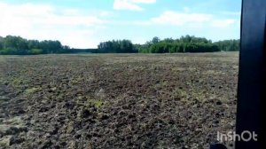 МТЗ 1523.3. с БДТ. Разработка целины. Корчуем деревья на н?