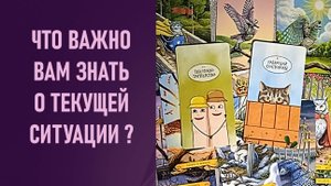 ЧТО ВАЖНО ВАМ УЗНАТЬ О ТЕКУЩЕЙ СИТУАЦИИ ⁉️ таро 🖤 расклад таро 🌞 таро онлайн 🗝️ гадание таро 🦉