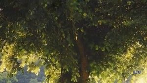 Истории из жизни "Жизнь до и после тебя" Жизненные истории / Читаем рассказы / слушать истории