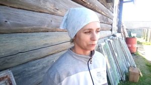 Как посадить картошку без вспашки земли?