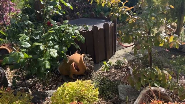 33  Сад Natalie Janssen в Германии Откровенно о блогерс?