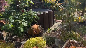 #33 ☘️ Сад Natalie Janssen в Германии ☘️Откровенно о блогерс?