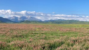 Вид на Тянь-Шань и пик Хан-Тенгри со стороны Казахстана.