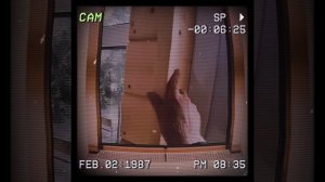 1000034091.mp4 (Собака наблюдает за устройством откосов у дверного проёма в доме А-фрейм)