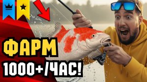 🔴 РР4 СТРИМ | НОВЫЕ ТОЧКИ для Фарма! Розыгрыш наживки в Русская Рыбалка 4