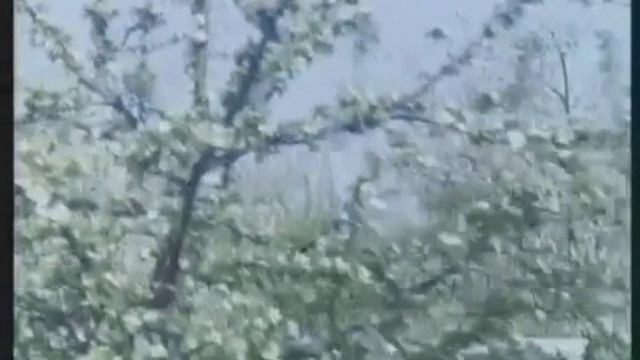 ПЧЕЛОВОДСТВО НАШИХ ДЕДОВ, ПРИЯТНО ПОСМОТРЕТЬ ТАКИЕ ФИ смотреть онлайн