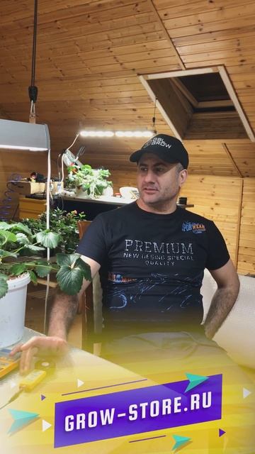 Алиезар о своем опыте в гидропонике который он получи? смотреть онлайн