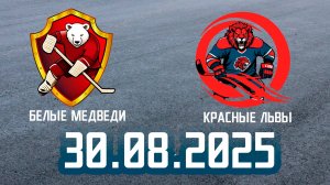 Роллер хоккей 30.08.2025 #6