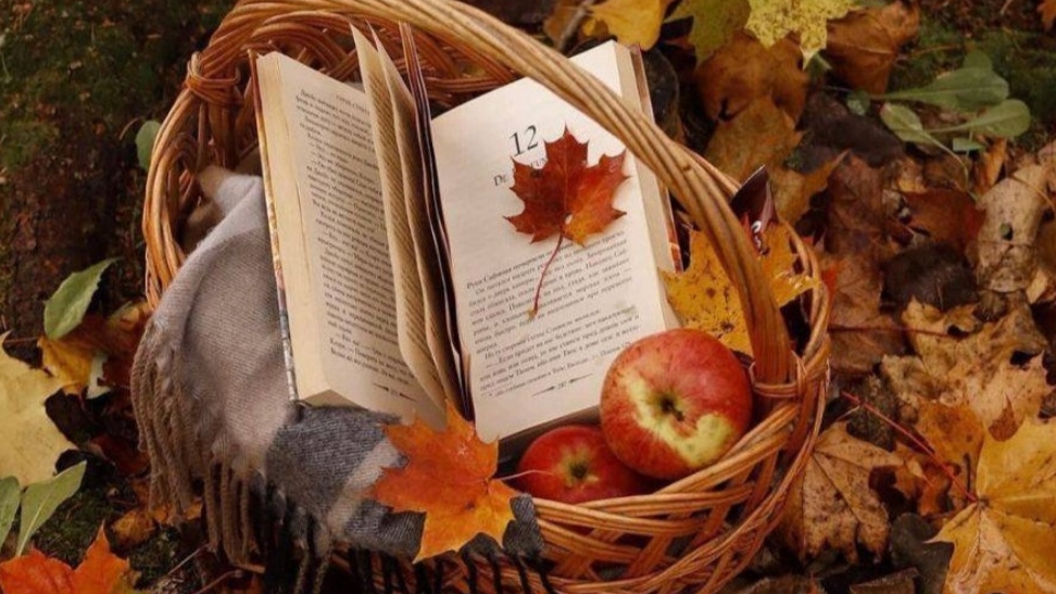 СП Носочки с Таней 2025 Отчёт Июль-Август смотреть онлайн