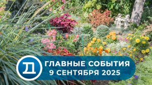 09.09.2025 Домодедово. Главные события.