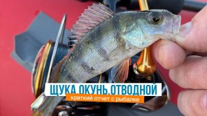 Окунь. Щука. Отводной спасает от 0