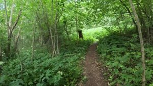 2024 SportMarafonFest || Никола-Ленинвец || 2 день, ЭКСПО, ORIENT FUN, забег 100 костров