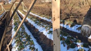 Строительство балаганов. В гостях у Сергея Зубцова. cons