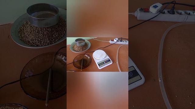 Масло из семян свербиги восточной (дикой редьки) потен смотреть онлайн